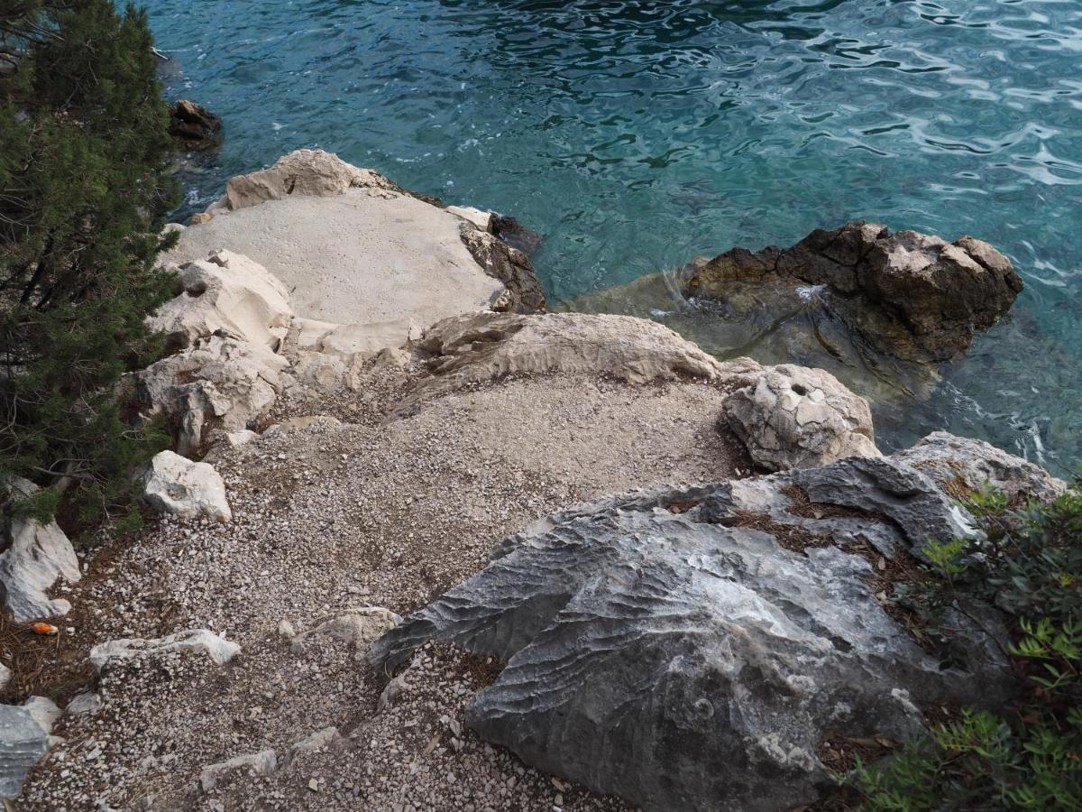 Arte Oliva Bed & Breakfast Grebaštica Dış mekan fotoğraf