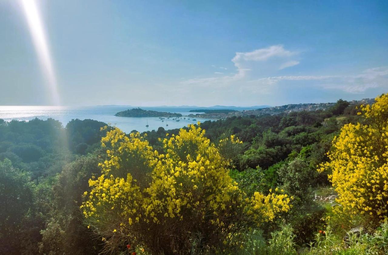 Arte Oliva Bed & Breakfast Grebaštica Dış mekan fotoğraf