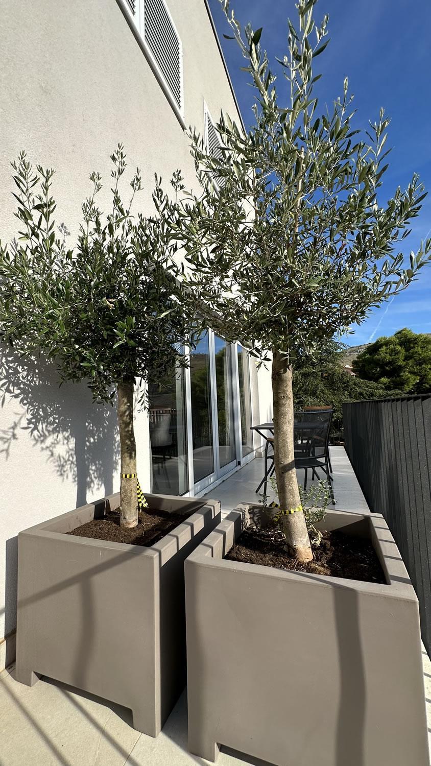 Arte Oliva Bed & Breakfast Grebaštica Dış mekan fotoğraf